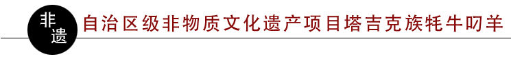 1605375858272532.png
